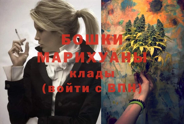 кокс Арсеньев