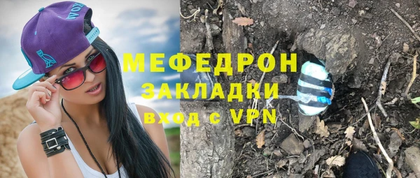 стаф Аркадак