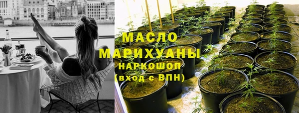 стаф Аркадак