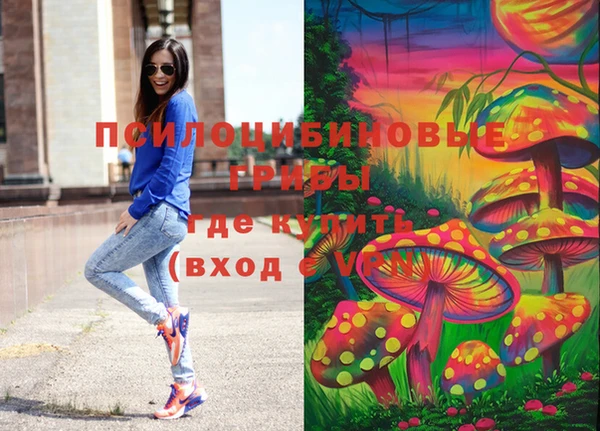 стаф Аркадак