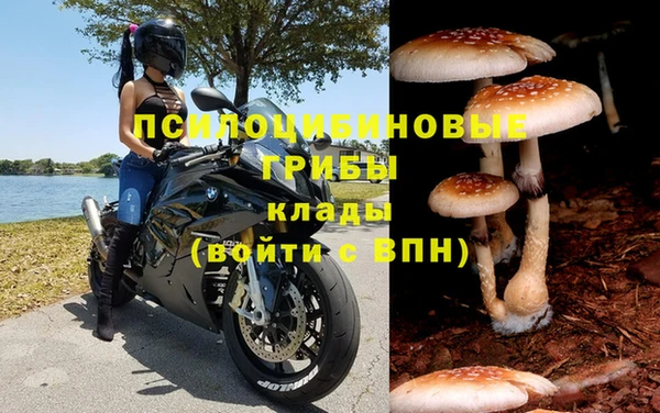 кокс Арсеньев