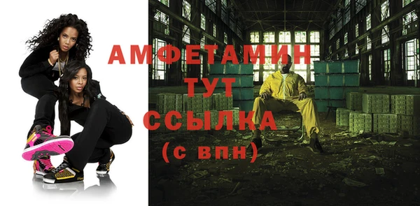 стаф Аркадак