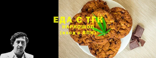 стаф Аркадак