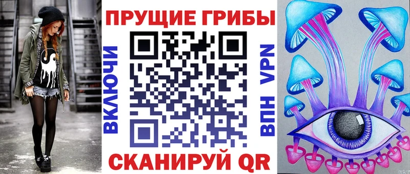 kraken онион  Суздаль  Псилоцибиновые грибы Magic Shrooms  хочу наркоту 