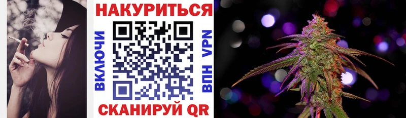 Бошки Шишки Amnesia Суздаль